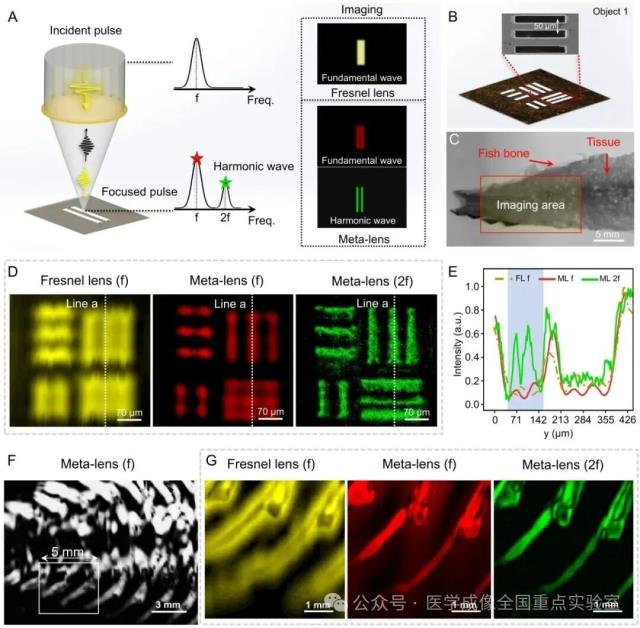 中国科学家打破波动效应物理衍射极限研制出超透镜三维超声成像